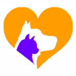 pet sitting favicon